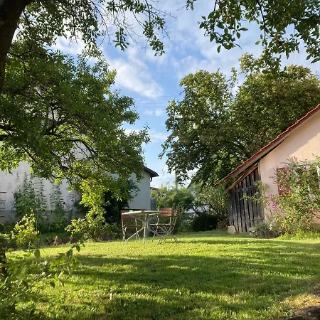 Haus Aurelia Διαμέρισμα Μέτσινγκεν