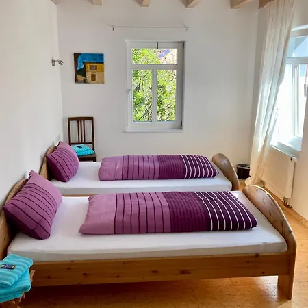 Haus Aurelia Διαμέρισμα Μέτσινγκεν